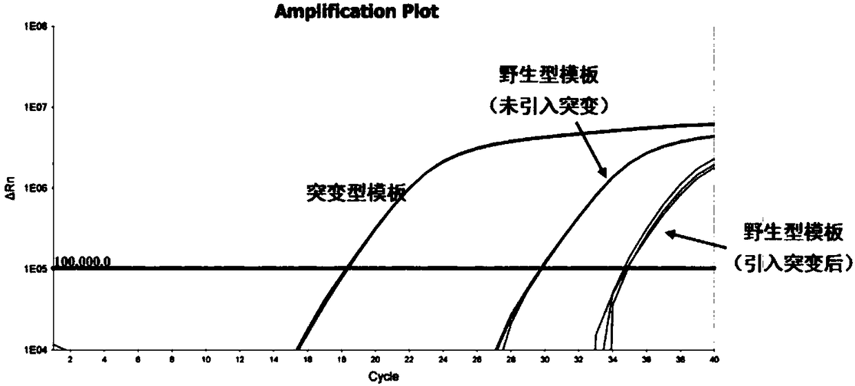 Kit for detecting B-raf gene V600E mutation, and detection method thereof