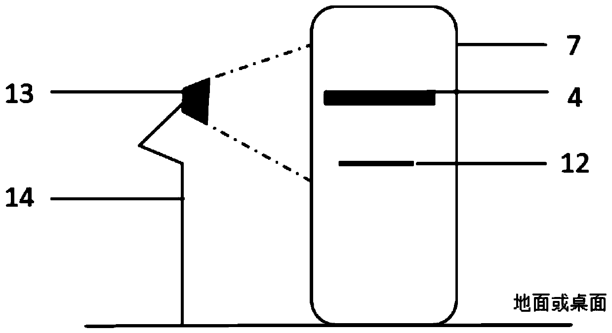 Apparatus for observing and measuring bivalve byssus secretion and application method thereof