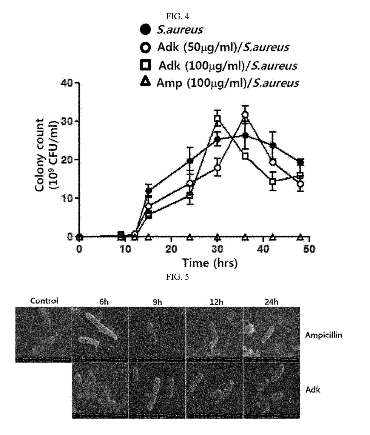 Antibacterial composition containing adk protein as active ingredient, or composition for preventing or treating sepsis