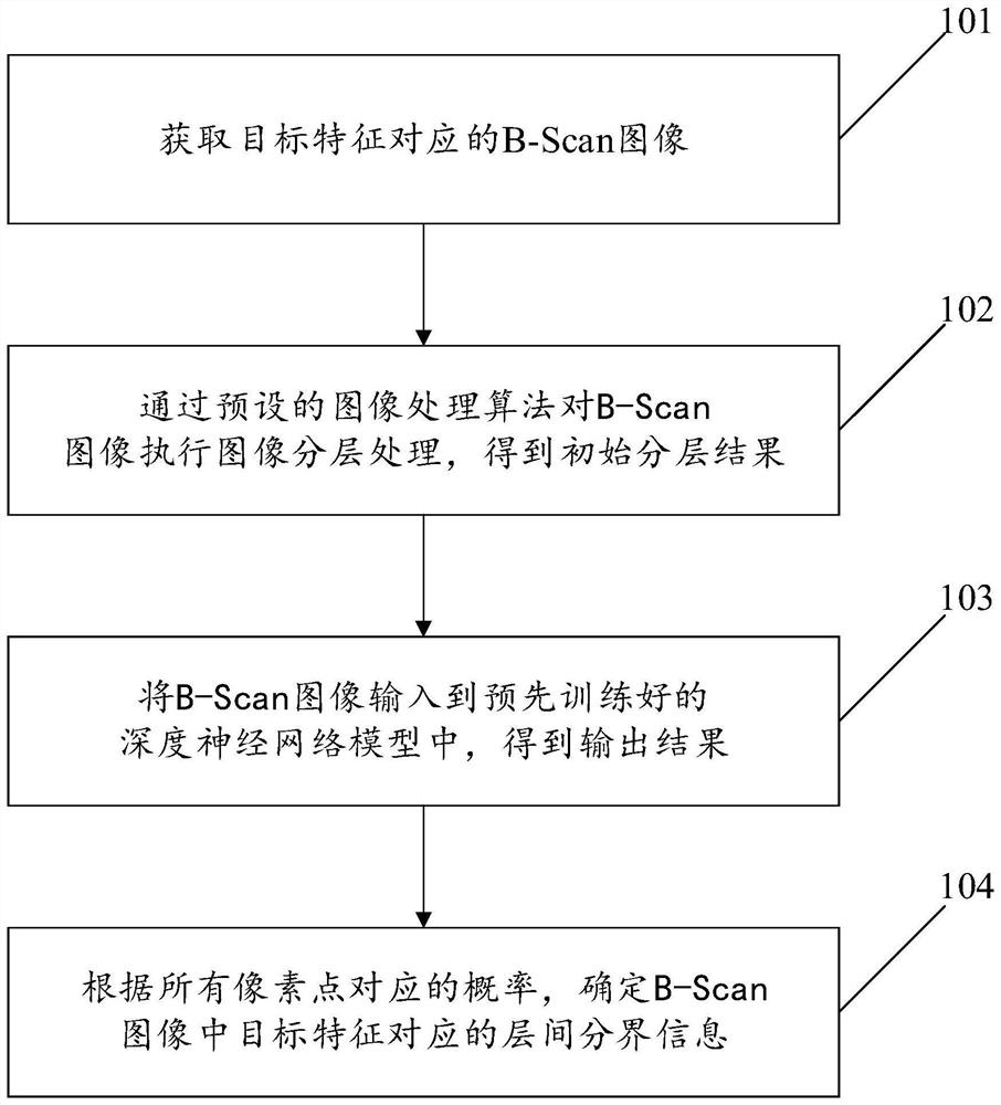 OCT image processing method and device