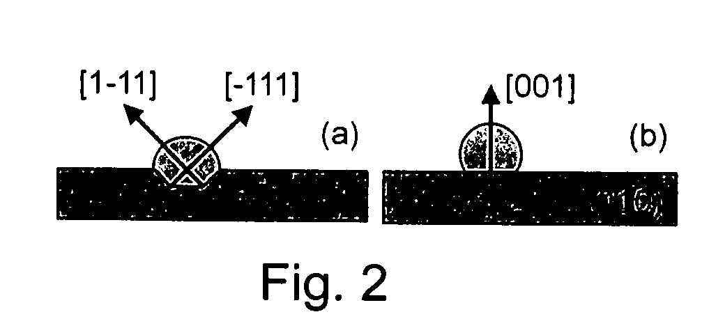 Directionally controlled growth of nanowhiskers