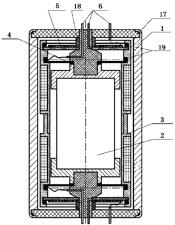 Piezoelectric and electromagnetic coupling vibration sensor