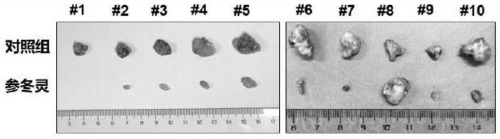 A plant monomer composition for inhibiting tumor cell growth and its preparation method and application