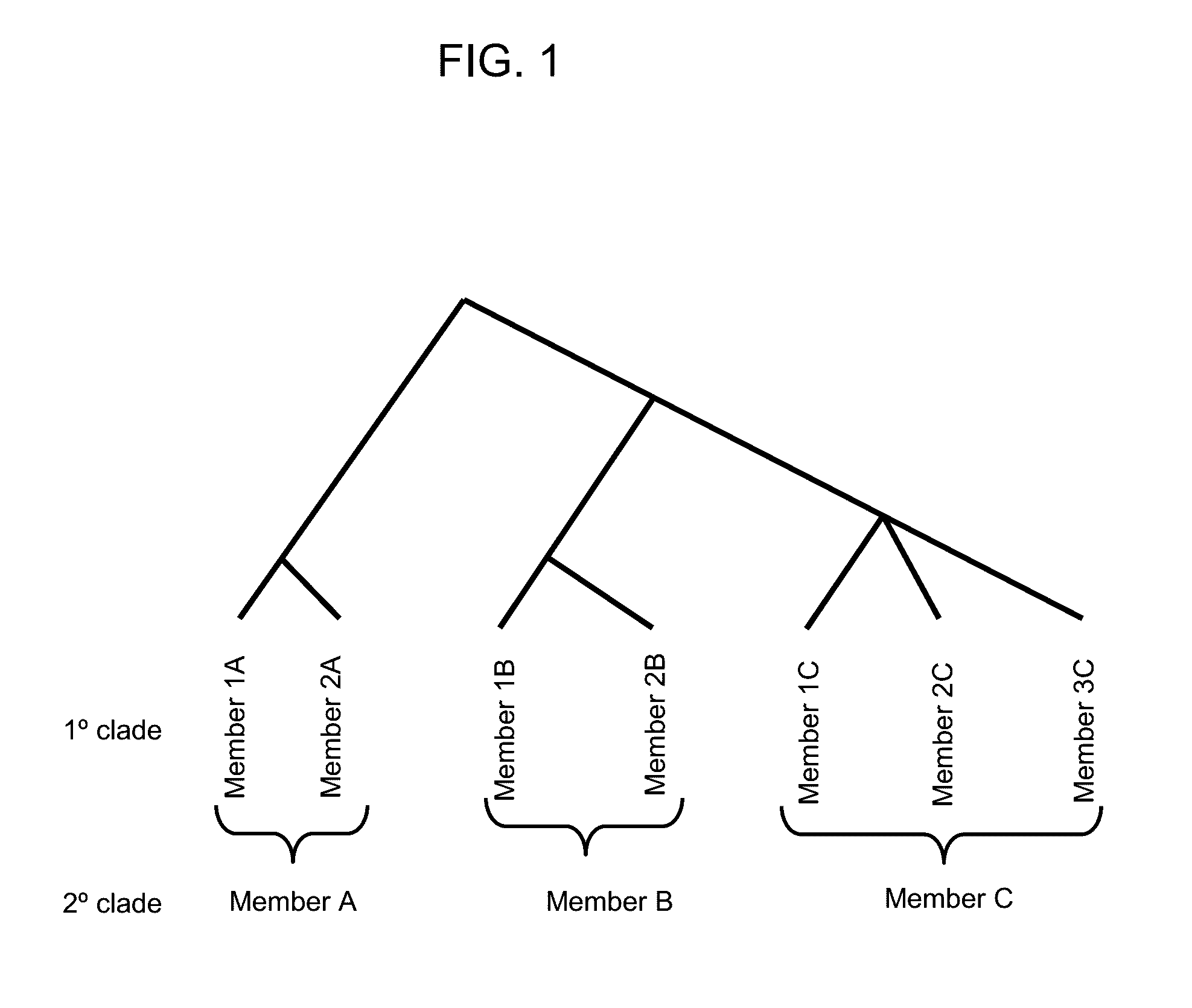 Methods of screening for onychomycotic fungi