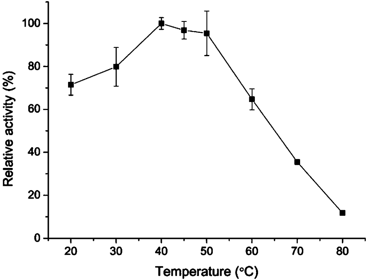 Recombinant bacterium of lipase expressing R configuration selectivity and application thereof