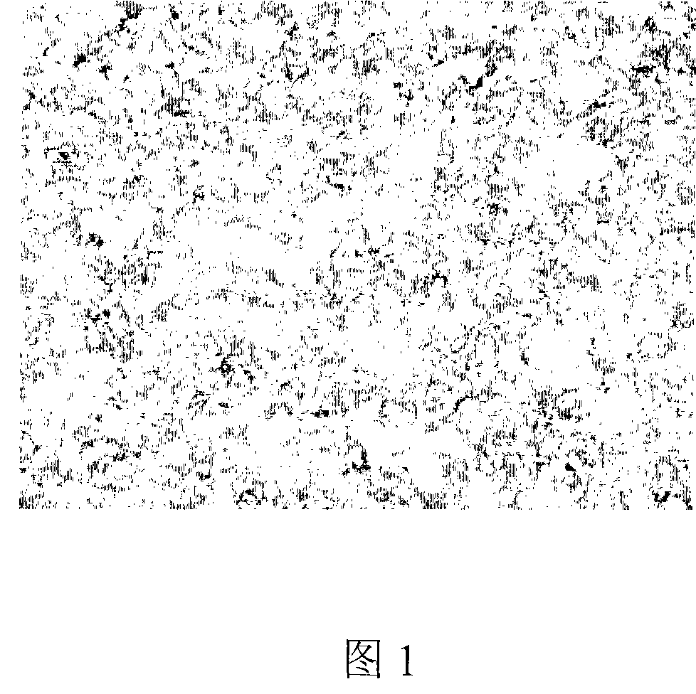 Casinghead gas corrosion resistant pumping rod steel and manufacturing method thereof