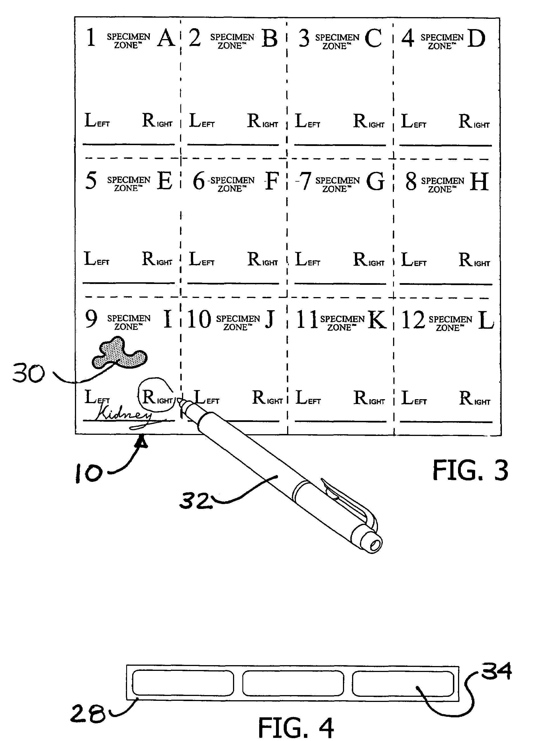 Specimen labeling system