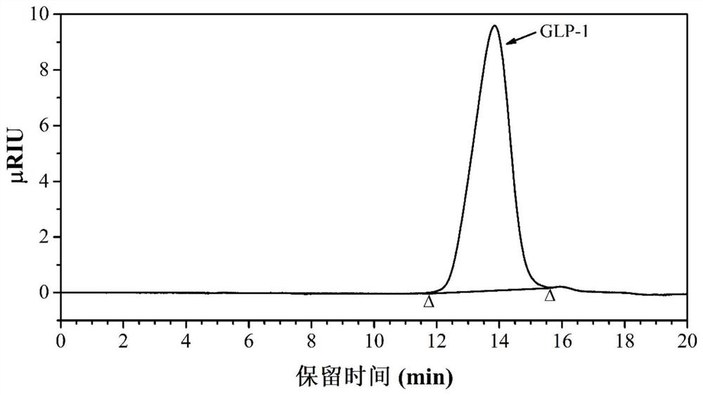 Tibetan ganoderma lucidum polysaccharide GLP-1 with antioxidant effect as well as preparation method and application thereof