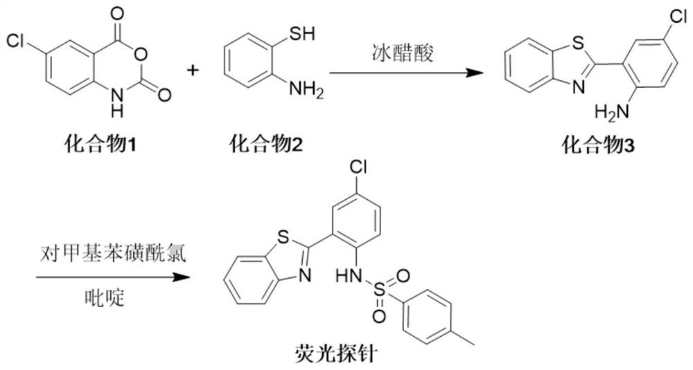 Ratio type fluorescent molecular probe as well as preparation method and application thereof