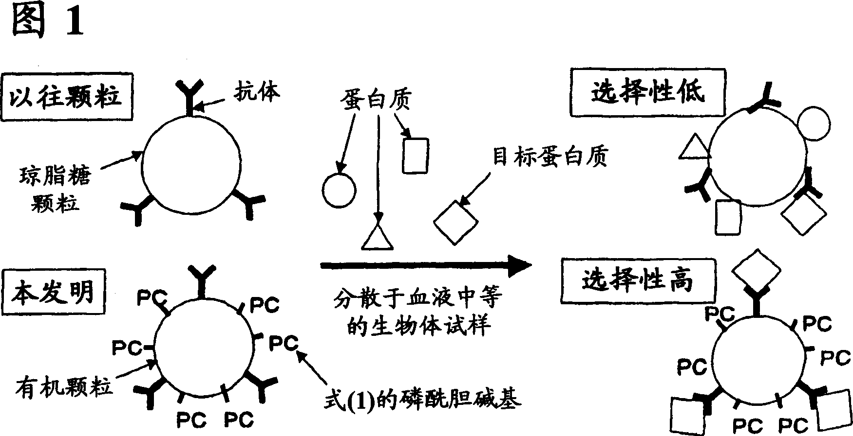 Affinity particle and affinity separation method