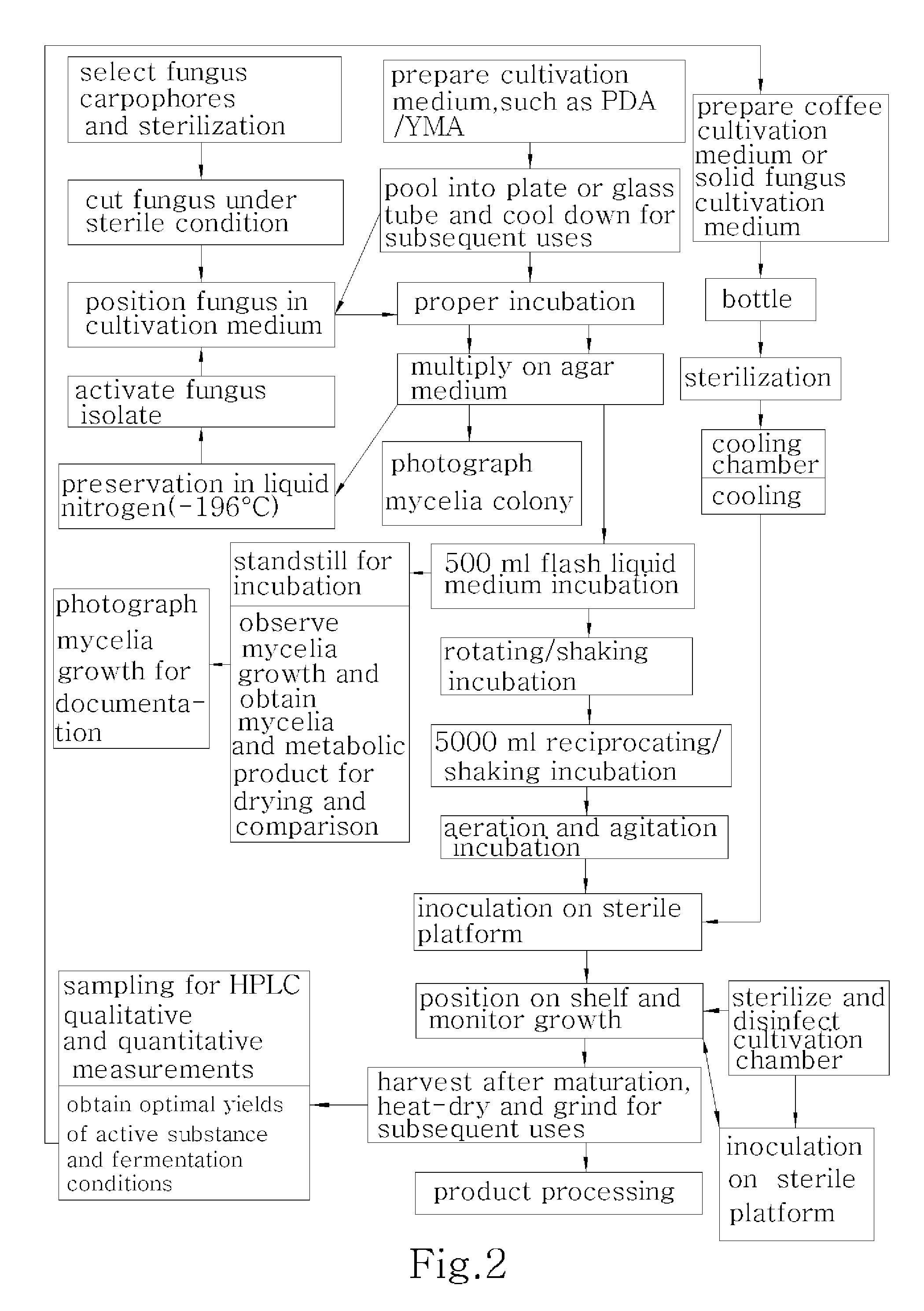 Method for manufacturing coffee by solid state fermentation