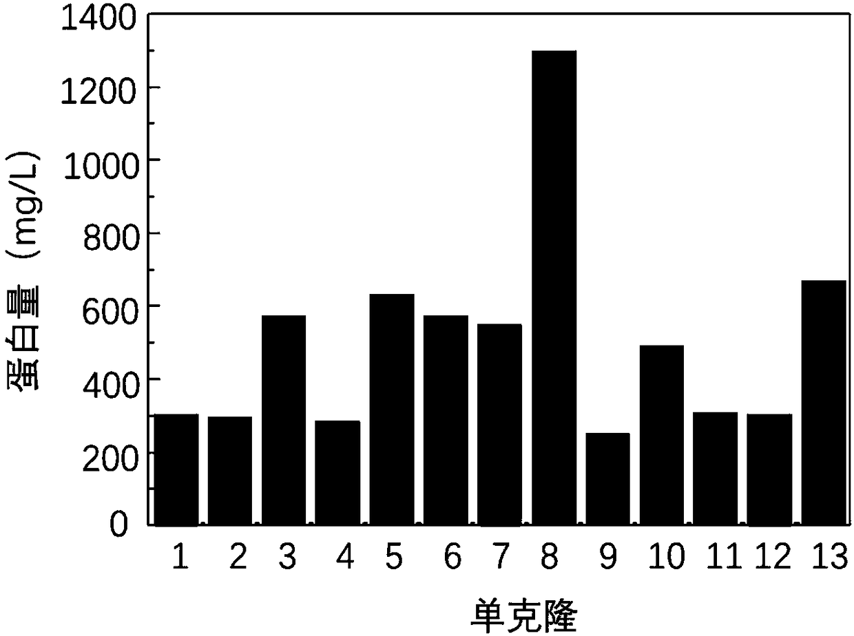 Fusion protein HFBI-RGD gene and protein