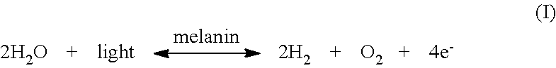 Electrochemical process and system for the preservation of perishable food