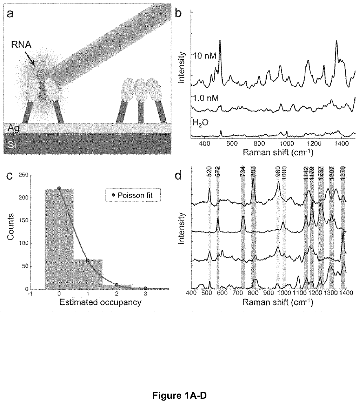 Single-molecule optical sequence identification of nucleic acids and amino acids for combined single-cell omics and block optical content scoring (BOCS): DNA k-mer content and scoring for rapid genetic biomarker identification at low coverage