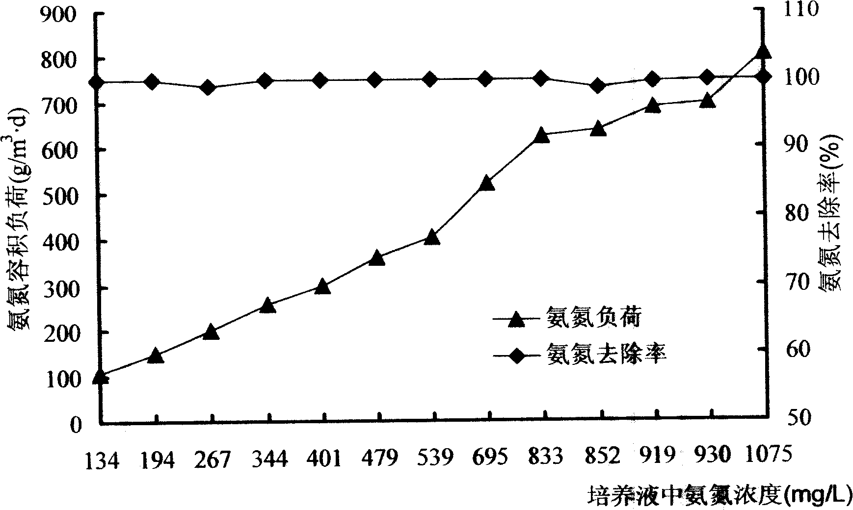 Method for concentrating highly effective nitrobacteria in active sludge