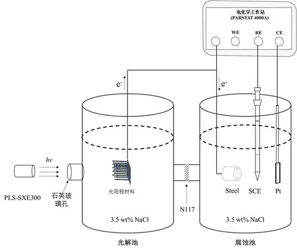 Composite photoanode film and its preparation method and application