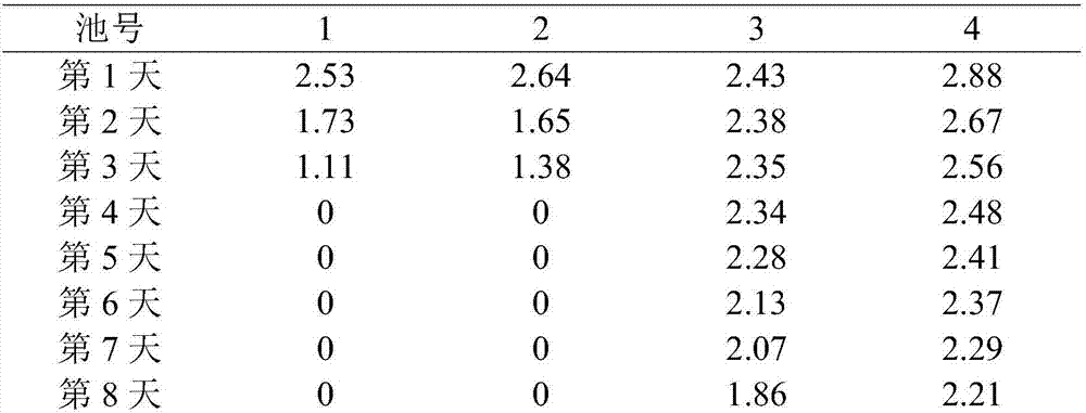 Artificial seedling method for ruditapes philippinarum in high-salt sea area in high temperature season