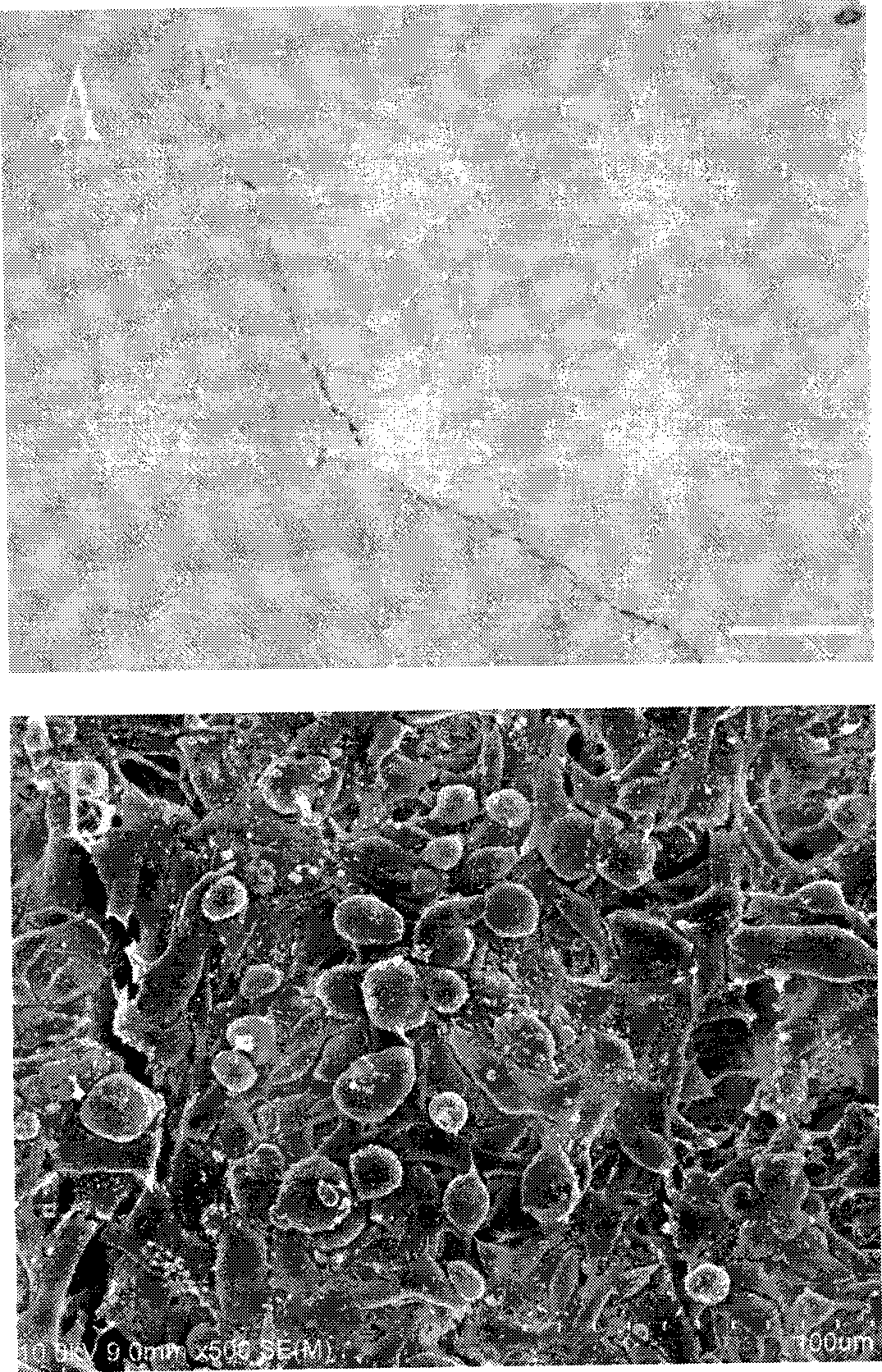 Vascular substrate without cell in vascular tissue and preparation method thereof