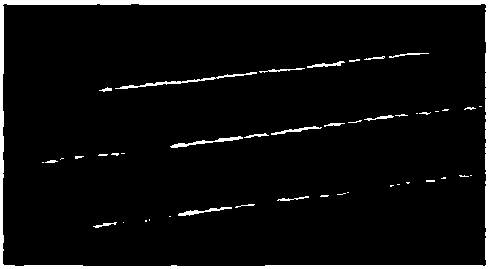 Method for directly writing magneto-optic waveguide on diamagnetic photosensitive glass by using femtosecond laser