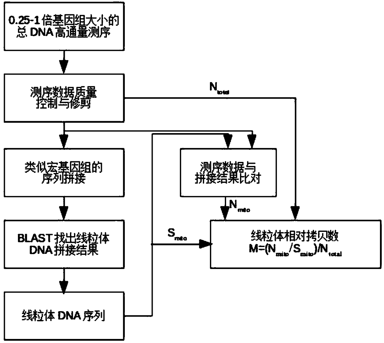 Mitochondria sequence splicing and copy number measuring method based on high-throughput sequencing