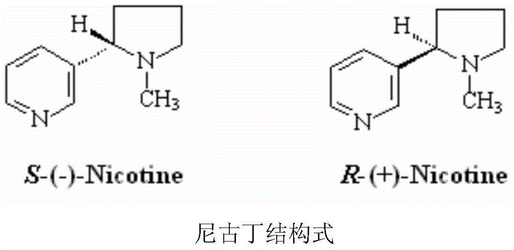 Nicotine slow-release patch