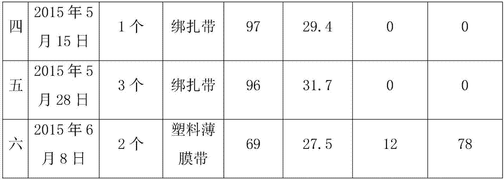 Tree grafting method for Camellia liberofilamenta Chang et C.H.Yang