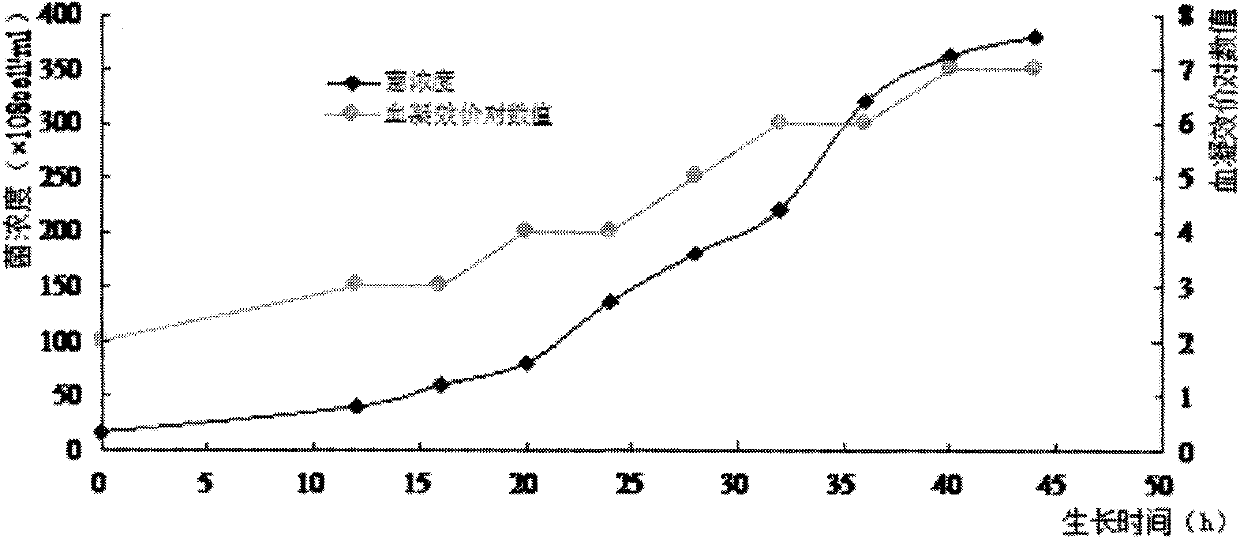 Preparation method of acellular pertussis vaccine