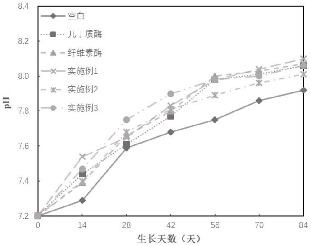 Composite enzyme preparation and preparation method thereof, method and application of promoting plant nitrogen and phosphorus absorption