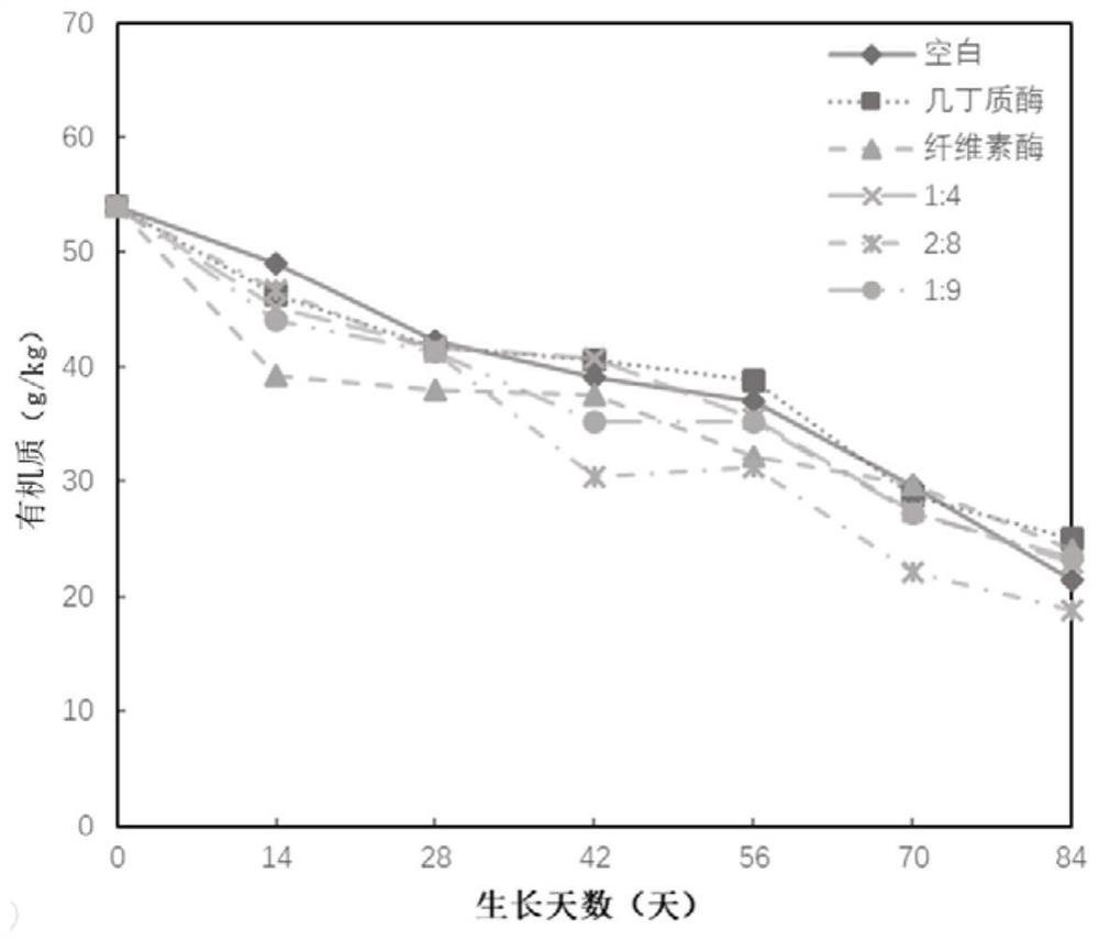 Composite enzyme preparation and preparation method thereof, method and application of promoting plant nitrogen and phosphorus absorption