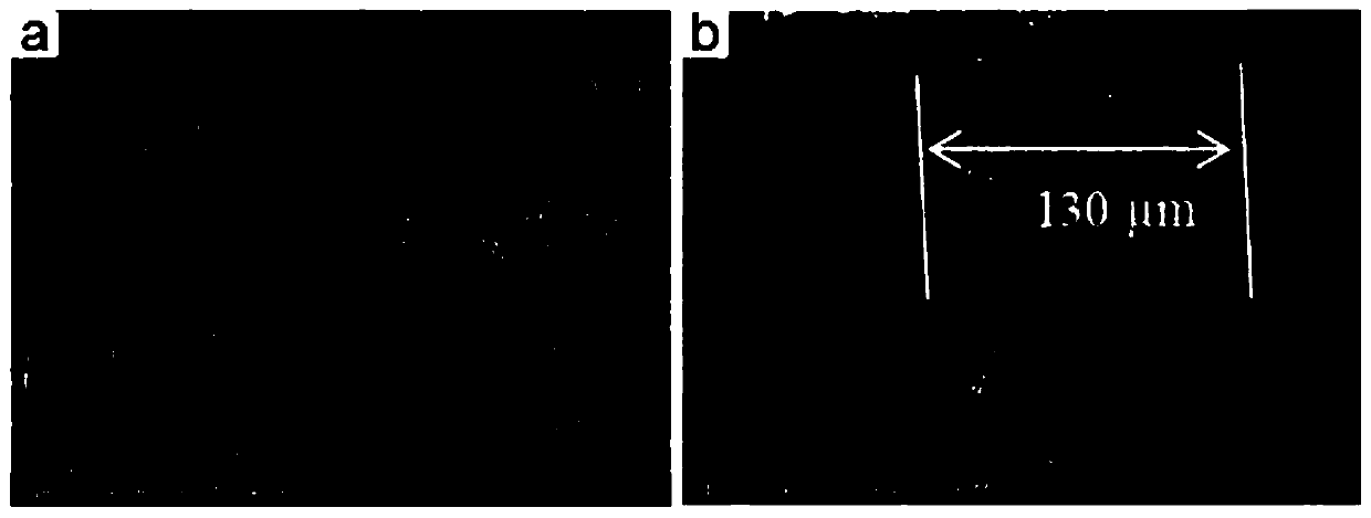 A method for detecting benzoic acid in beverages