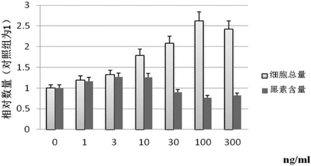 CHMM1 culture medium suitable for in-vitro culture of Chinese epidermal melanocytes