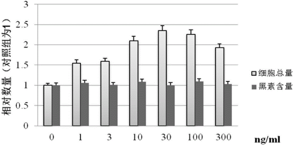 CHMM1 culture medium suitable for in-vitro culture of Chinese epidermal melanocytes