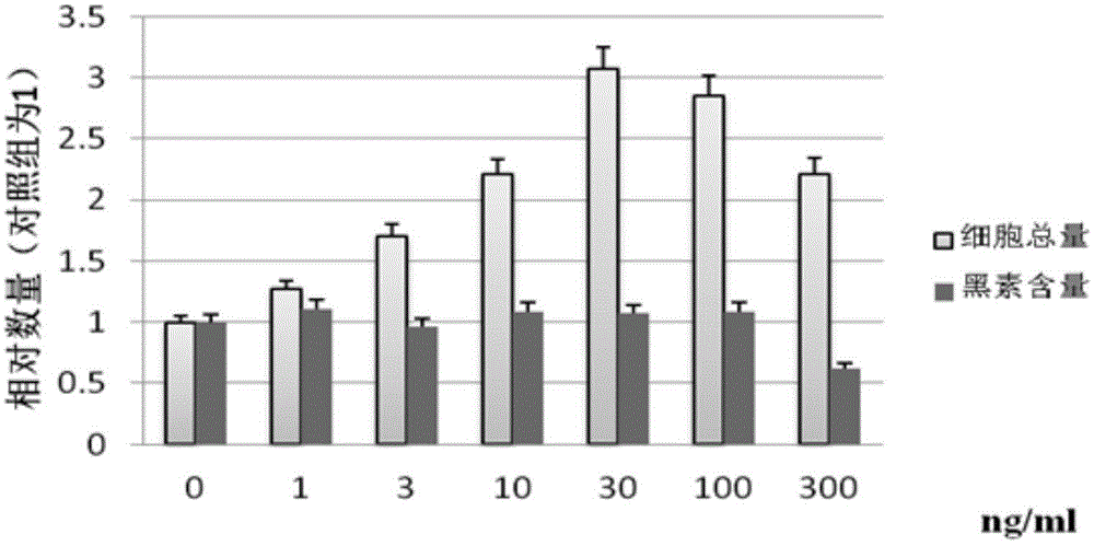 CHMM1 culture medium suitable for in-vitro culture of Chinese epidermal melanocytes