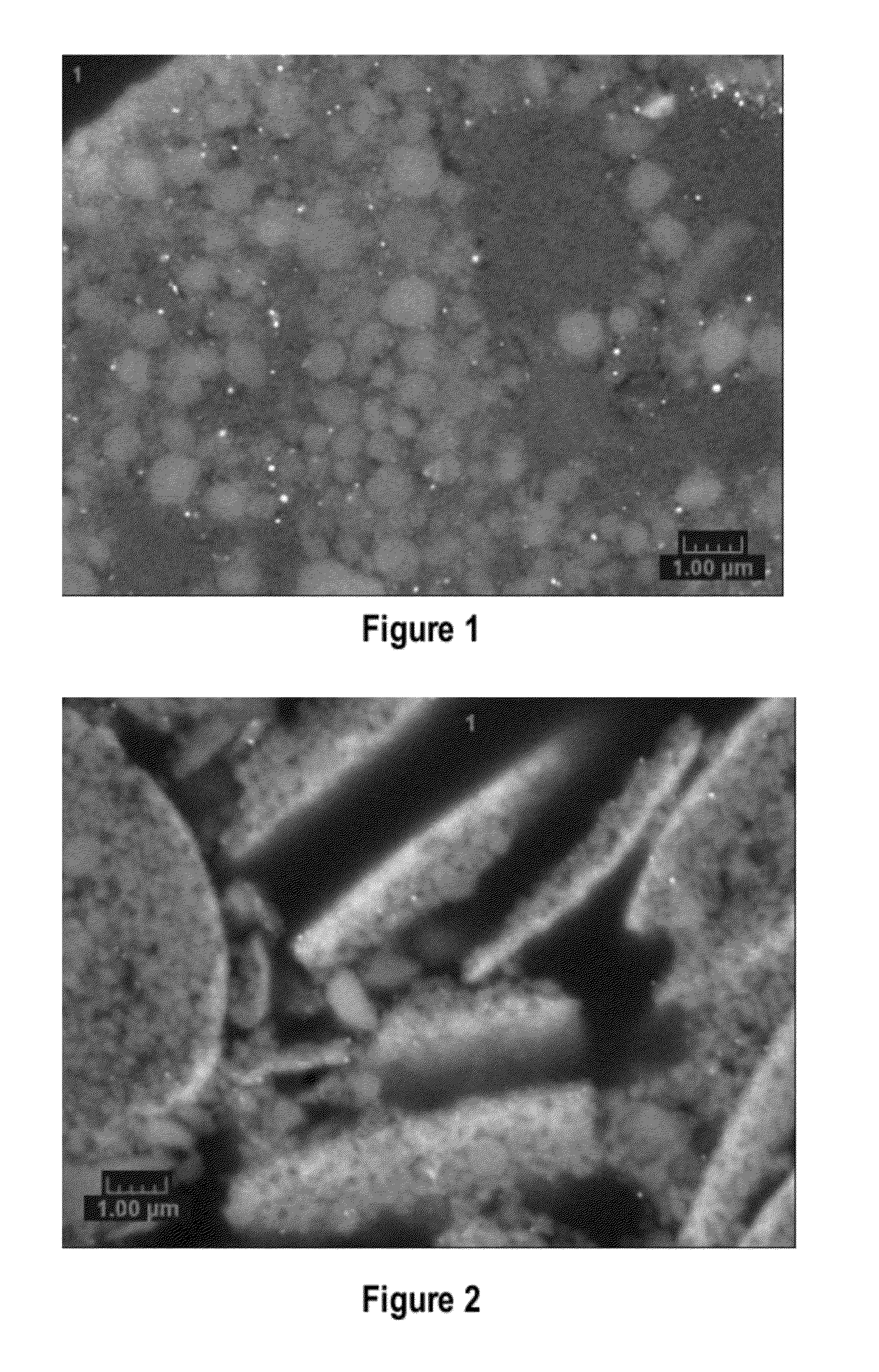 Surface-Coated Zeolite Materials For Diesel Oxidation Applications