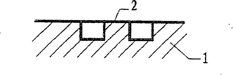 Fuel cell metal bipolar plate with surface coatings