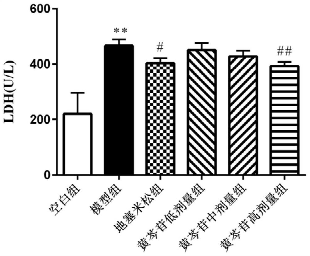 Application of baicalin in preparation of medicine for preventing and/or treating asymptomatic hyperuricemia and/or uric acid nephropathy