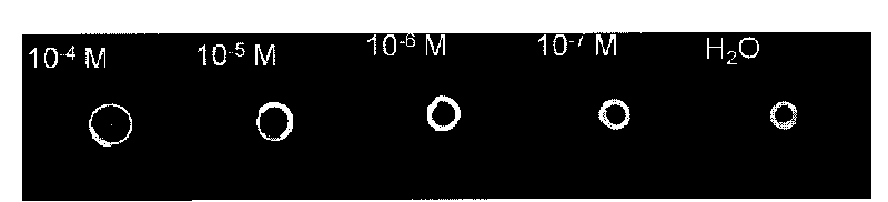 Intelligent bending double hydrogel for visual detection of heavy metal ions and preparation method and application thereof