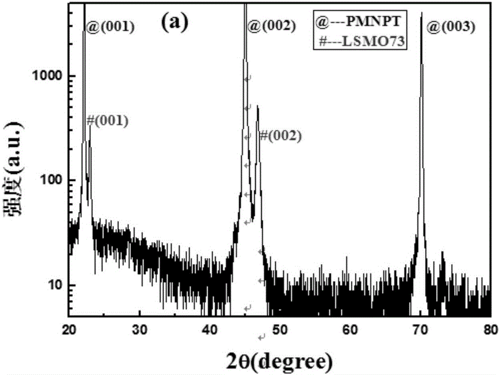 Multiferroic composite magnetoelectric film and preparation method thereof