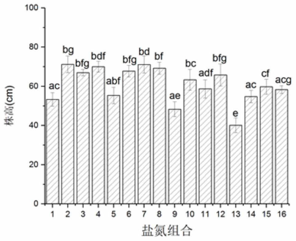 A Screening Method for Optimum Salt and Nitrogen Conditions of Reed Seedlings