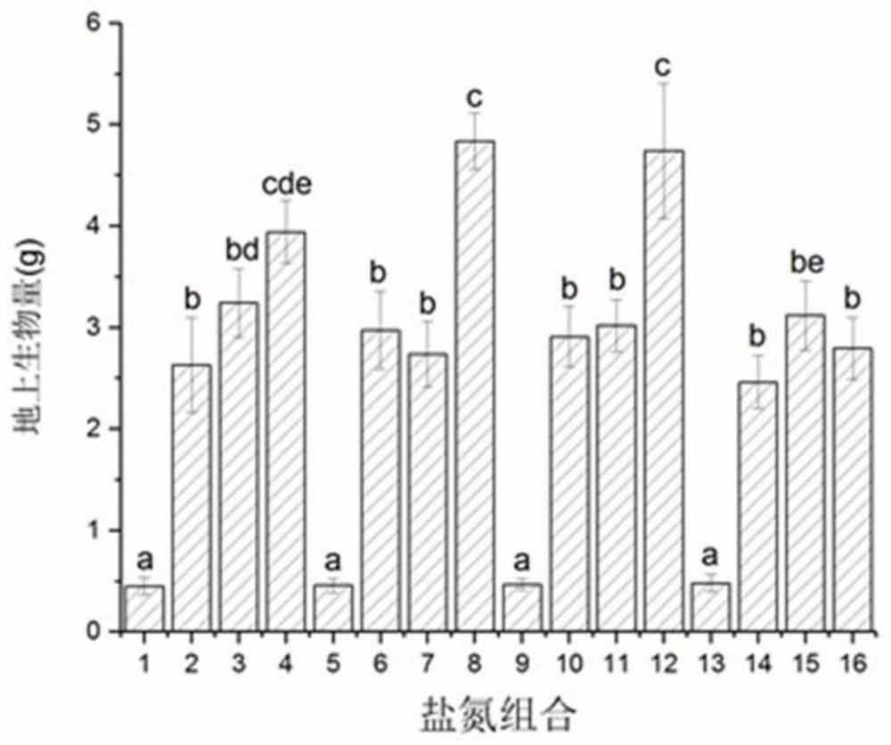 A Screening Method for Optimum Salt and Nitrogen Conditions of Reed Seedlings