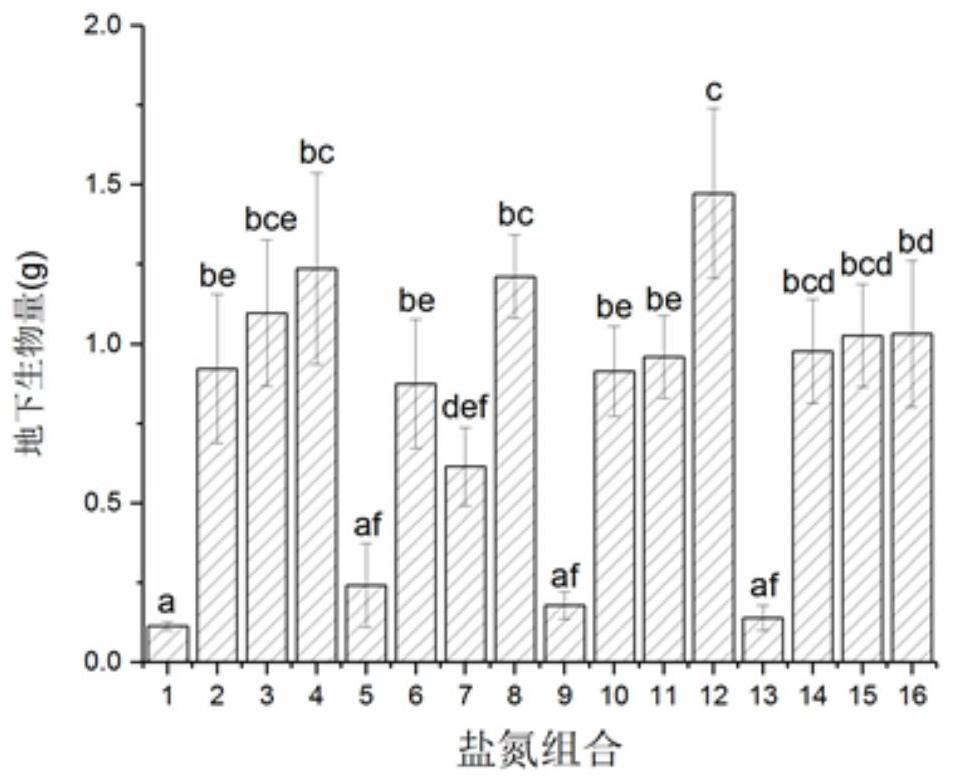 A Screening Method for Optimum Salt and Nitrogen Conditions of Reed Seedlings