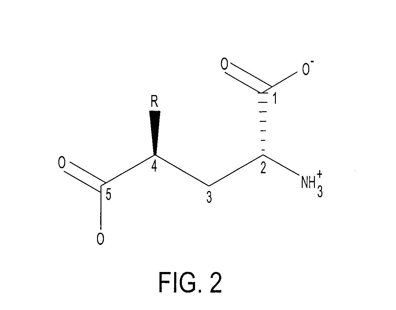 Model for Glutamate Racemase Inhibitors and Glutamate Racemase Antibacterial Agents