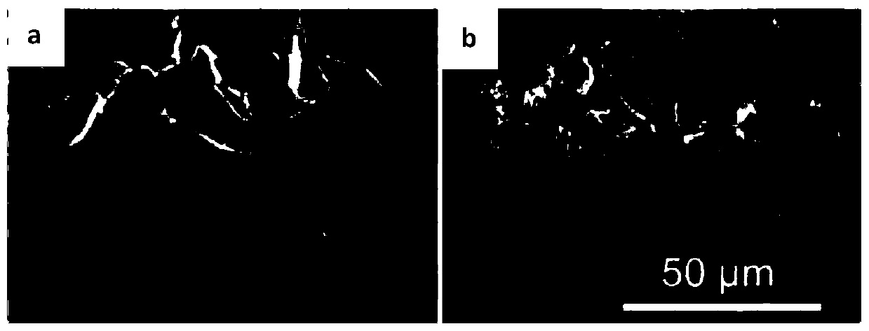 Preparation method of 3D flexible tin disulfide/graphene gas sensor for nitrogen dioxide detection