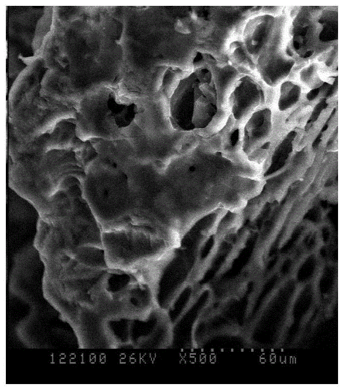 Preparation method for cationic-type activated carbon