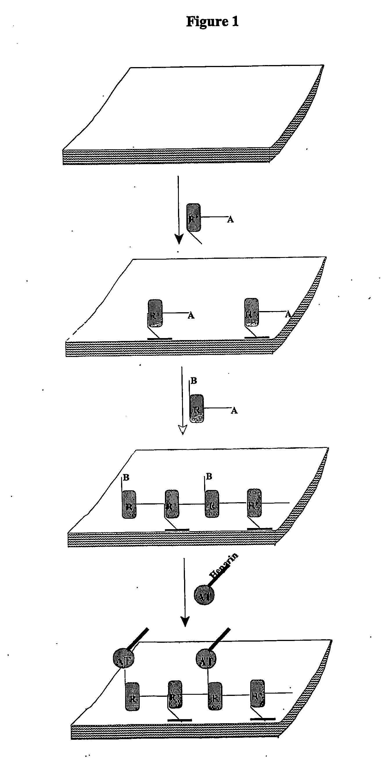 Coating composition for polymeric surfaces comprising serpin or serpin derivatives