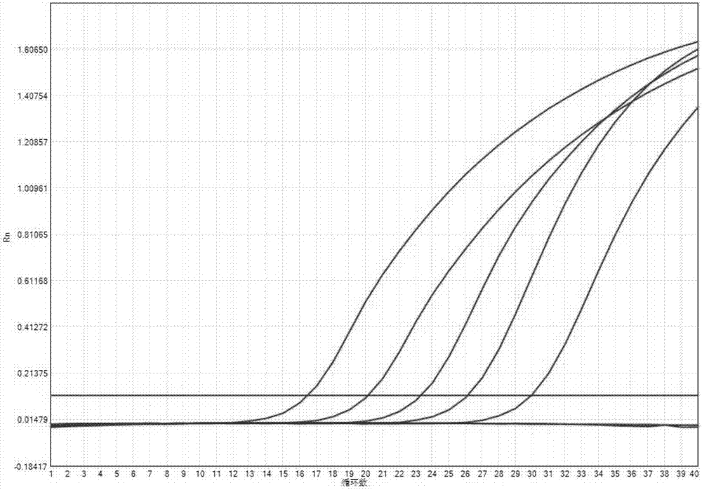 Avian influenza virus H7N9 sub type fluorescent RT-PCR primer group, probe group, kit and method