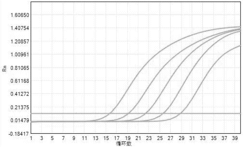 Avian influenza virus H7N9 sub type fluorescent RT-PCR primer group, probe group, kit and method