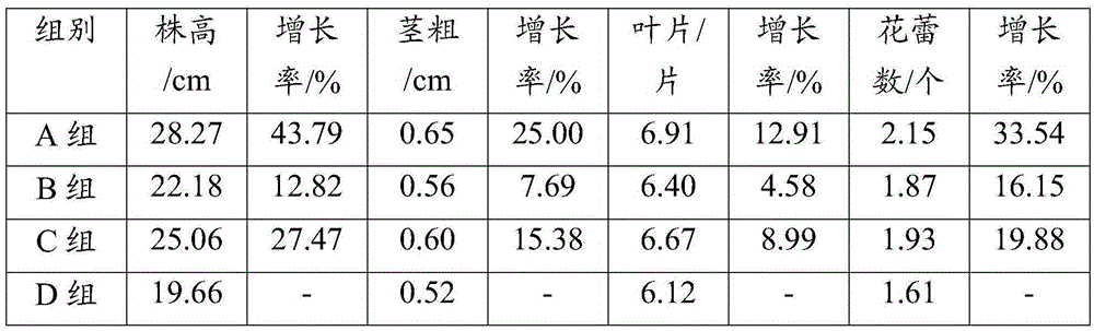 Compound fertilizer special for eggplant growth