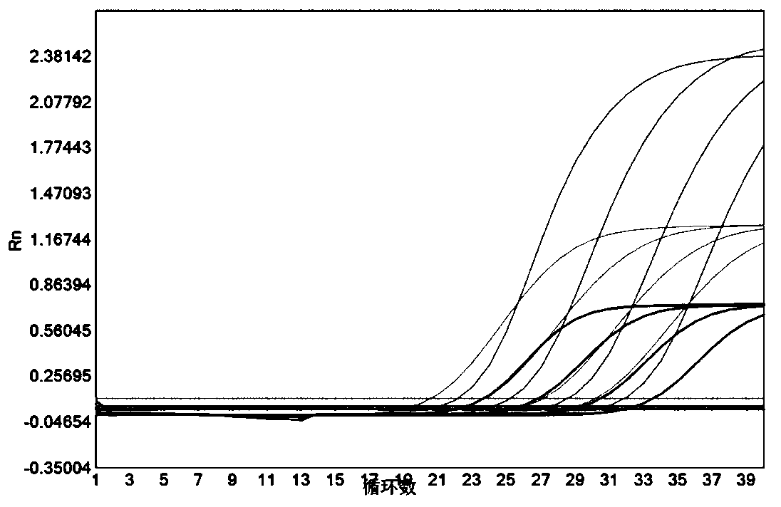 Pretreatment method, pretreatment solution and kit for virus nucleic acid detection, and application of pretreatment solution