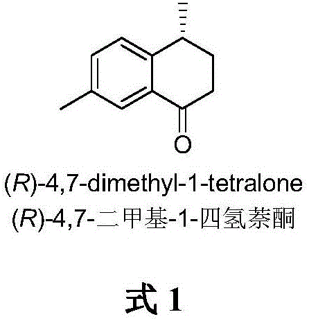 A kind of method of asymmetric catalytic synthesis (r)-4,7-dimethyl-1-tetralone